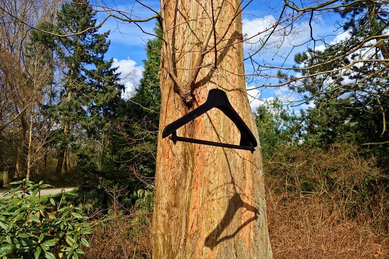 Creative plant hangers