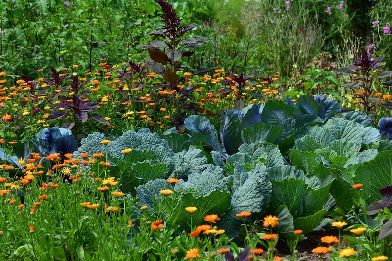 Vertical herb growing tips