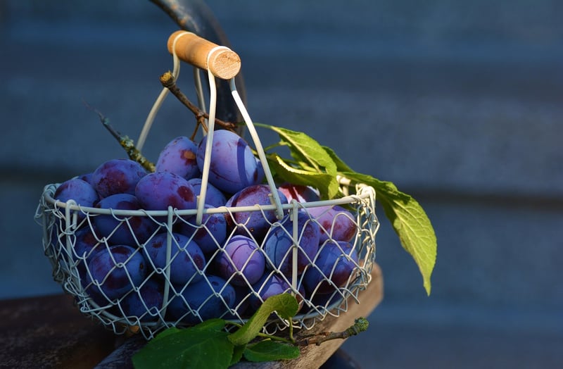 Cascading Flower Baskets