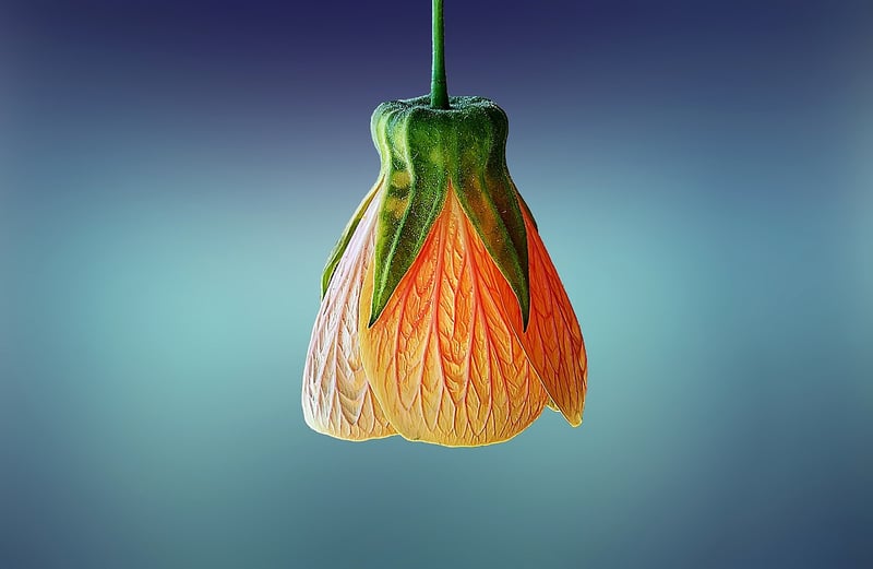 Hanging Plant Shelf