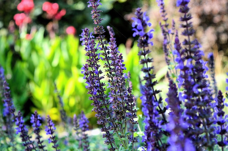 Vertical Herb Garden